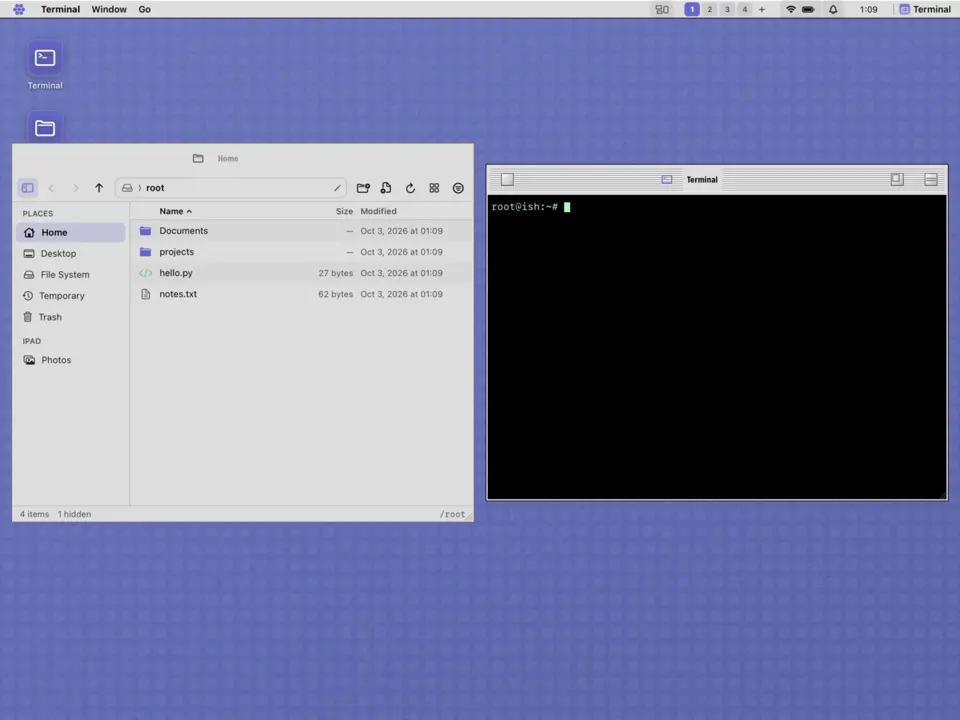 The Platinum desktop look in LinPad